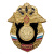 Значок мет. РВСН (серия Россия)