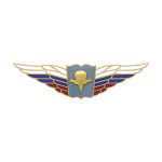 Значок мет. Должностной знак начальника высшего военного училища, проф. организации ВДВ (№84)