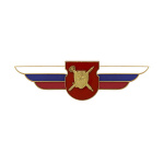 Значок мет. Должностной знак командира отдельного дисциплинарного батальона 