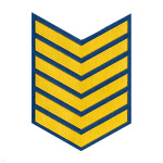 Курсовка пластизол. 6 курс (голуб.)