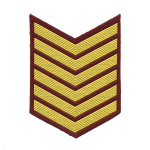 Курсовка пластизол. 6 курс (крапов.) галочка