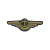 Нагрудный знак канит. лат. ВМФ