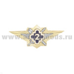 Значок мет. Классность ФСИН 2 класс