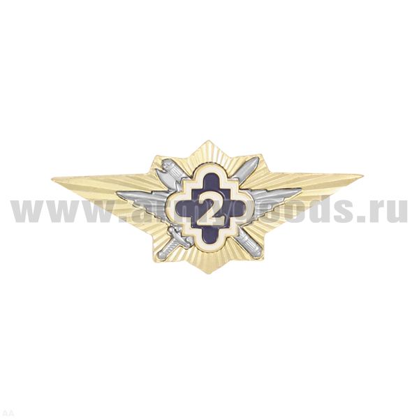 Значок мет. Классность ФСИН 2 класс