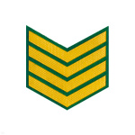 Курсовка пластизол. 4 курс (зел.)