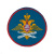 Шеврон вышит. ВВС (210 пр.)