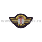 Шеврон вышит. Кокарда таксиста
