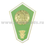 Значок мет. "Гробик" РБ Среднее сельскохозяйственное образование (латунь, хол.эм.)