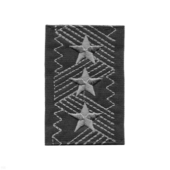 00000033488