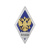 Значок мет. ВМИИ (ромб РФ, орел без щитка) гор.эм.
