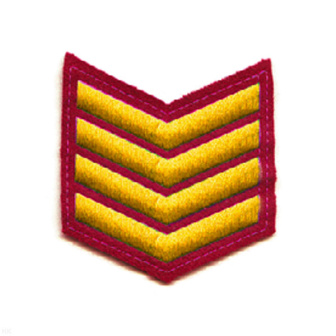 00000013314