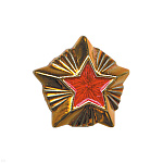 Звезда на погоны пласт. 20 мм Таможня (зол. с красн. краской)