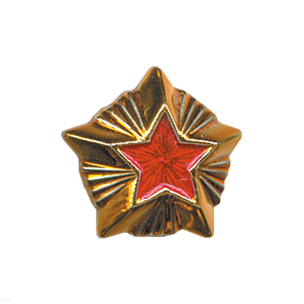 Звезда на погоны пласт. 20 мм Таможня (зол. с красн. краской)
