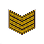Курсовка пластизол. 4 курс (черн.) галочка (с просветами)
