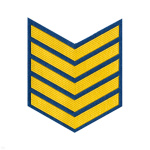 Курсовка пластизол. 5 курс (голуб.)