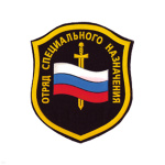 Шеврон пластизолевый Отряд спецназ (щит с флагом и мечом)