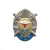 Значок мет. 76 гв. ВДД (серия ВДВ (стальные лучи с мечами)