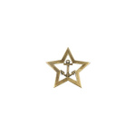 Значок мет. Якорь в звезде (мал., на пимсе)