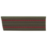 Погоны оливк. 2 крап. пр. (со скосом) 15,5 см пластик