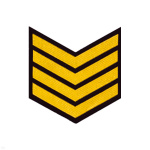 Курсовка пластизол. 4 курс (черн.) галочка
