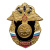 Значок мет. Войска связи (серия Россия)