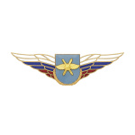 Значок мет. Должностной знак командира бригады и ей равного соединения (ВКС) (№49)