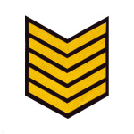 Курсовка пластизол. 5 курс (черн.) галочка