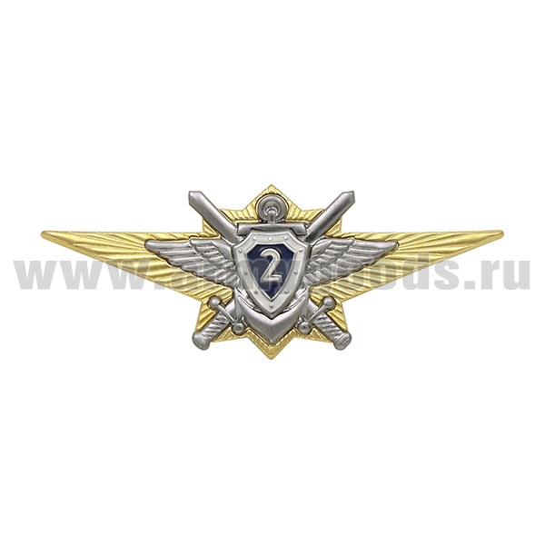 Значок мет. Классность офиц. ВС РФ 2 класс нов/обр