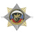 Значок мет. Орден-звезда ВВ ящерица