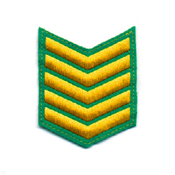 Курсовка вышит. 5 курс (зел.)