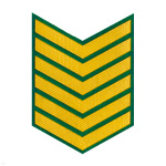 Курсовка пластизол. 6 курс (зел.)