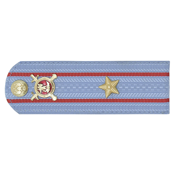 Погоны Полиции (ОВД) на голубую рубашку (без канта), укомпл. мет. фурнитурой (майор) пластик
