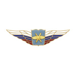 Значок мет. Должностной знак начальника высшего военного училища, проф. образоват. организации и общеобразовательной организации ВКС (№53)