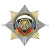 Значок мет. Орден-звезда ВВ лев