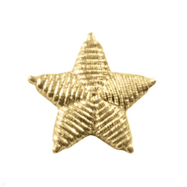 Звезда на погоны пласт. 22 (25) мм (генер.) (рифленая) зол.