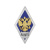 Значок мет. ВА МТО (ромб РФ, орел без щитка) гор.эм.