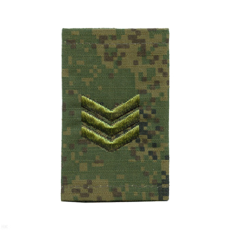 00000034503