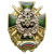 Значок мет. Нижегородский институт ФПС (крест на венке с флагом РФ)