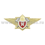 Значок мет. Классность МЧС Мастер