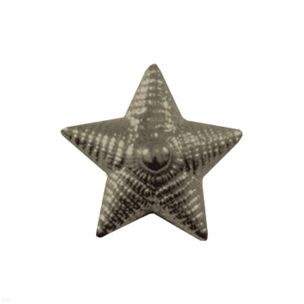 Звезда на погоны пласт. 20 мм (рифленая) защ.