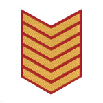 Курсовка пластизол. 6 курс (красн.) галочка