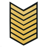 Курсовка пластизол. 7 курс (черн.) галочка