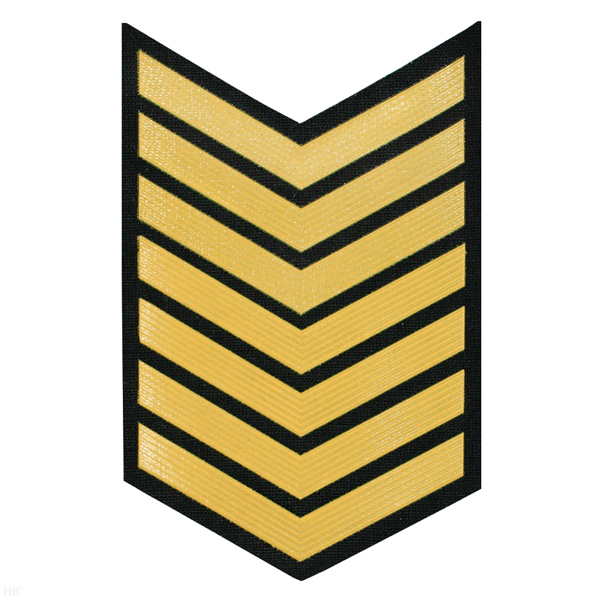 Курсовка пластизол. 7 курс (черн.) галочка