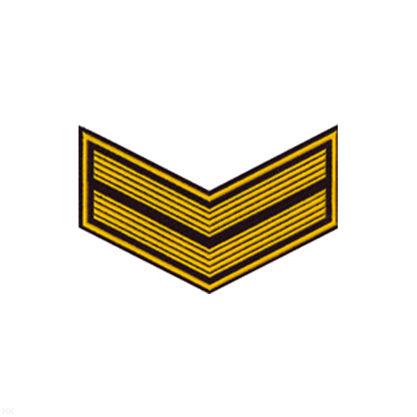 Курсовка пластизол. 2 курс (черн.) галочка (с просветами)