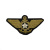 Техзнак канит. лат. Речной флот ("птичка" со звездой)