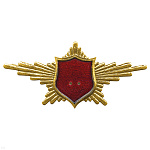 Нагр. зн. мет. Символ РА "лучи" (красный фон) без эмблемы