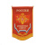 Вымпел пластизол. Россия Сухопутные войска