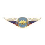 Значок мет. Должностной знак командующего армией и ей равного объединения (ВКС) (№47)