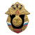 Значок мет. ВДВ (серия Россия)