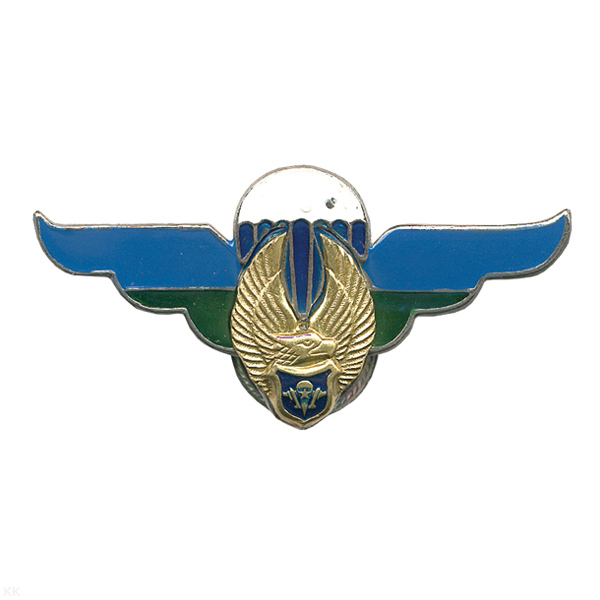 Значок мет. Крылья ВДВ (флаг ВДВ)